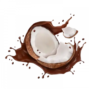 Chocolate Covered Coconut