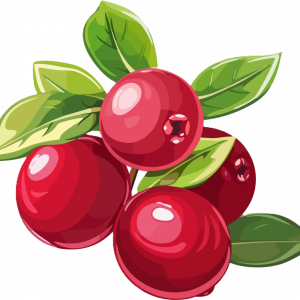 Cranberry