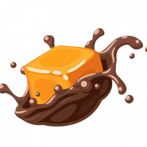 Chocolate Covered Caramel