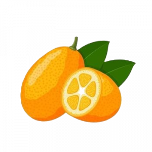 Kumquat